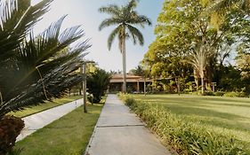 Quinta de Brumado